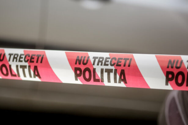 cazul tinerei ucise si incendiate de fostul partener femeia a primit ordine de protectie impotriva lui dar si a retras plangerile 686e13418a8fb