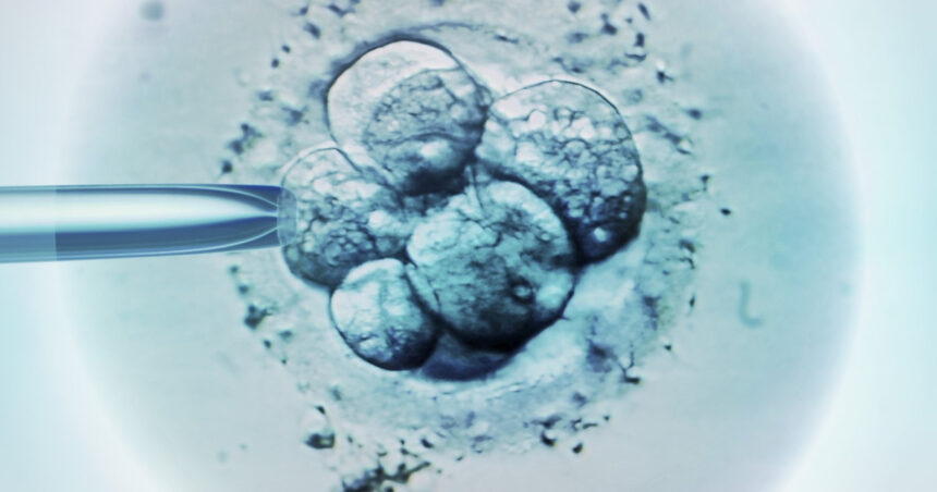 Ceasul biologic al bărbaților și legătura acestuia cu avorturile spontane în cazul fertilizării in vitro 1 ceasul biologic al barbatilor legat de avorturile spontane in cazul fertilizarii in vitro 686c0f0b69f28