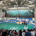 constanta iata programul sectiilor complexului muzeal de stiinte ale naturii 687202627e7df