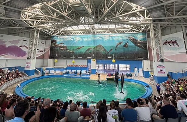 constanta iata programul sectiilor complexului muzeal de stiinte ale naturii 687202627e7df
