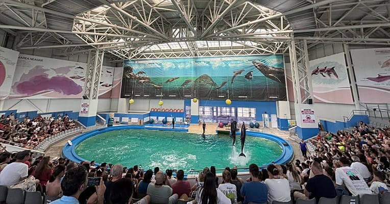 Constanța. Programul secțiilor Complexului Muzeal de Științe ale Naturii 1 constanta iata programul sectiilor complexului muzeal de stiinte ale naturii 687202627e7df