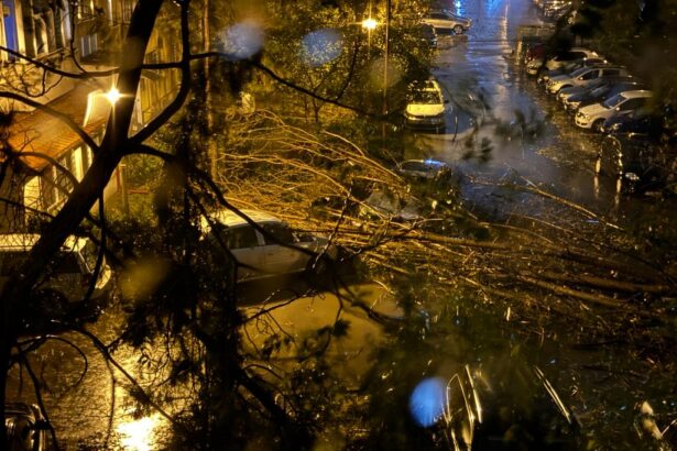 constanta un copac a cazut peste o masina parcata pe strada eliberarii 68796242744a8