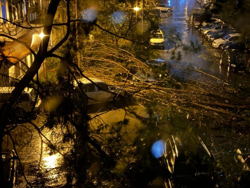 constanta un copac a cazut peste o masina parcata pe strada eliberarii 68796242744a8