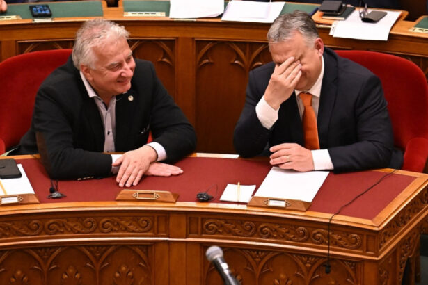 cum explica vicepremierul ungariei mesajul pro george simion al lui viktor orban in cateva secunde a existat o asezare a subiectului 68828d0c5690d
