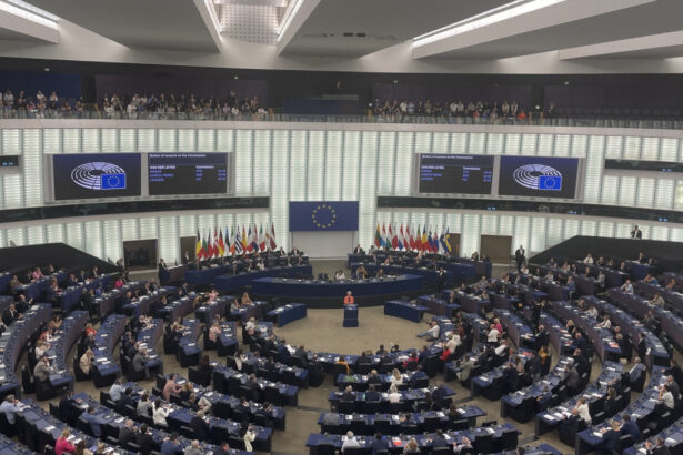 cum se va vota joi in parlamentul european la motiunea de cenzura impotriva ursulei von der leyen social democratii s ar putea abtine 686dec98644b3