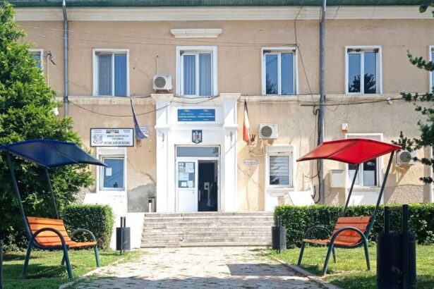 dezastru administrativ mostenit in mandatul lui paul colis curtea de conturi a descoperit la baneasa constructii nedeclarate afaceri fara autorizatie si plati nelegale 686679f248c65