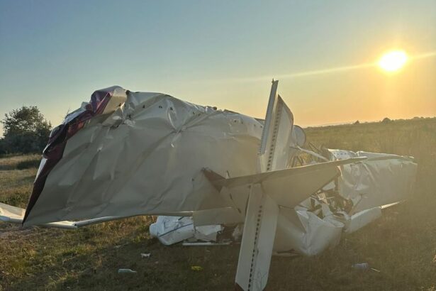 doua persoane au murit accident aviatic in zona gura portitei 687d2fc3d3c3b