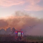 dupa 3 zile de lupta cu flacarile pompierii au reusit sa stinga incendiul de la chilia peste 1 300 de hectare din care aproape o suta de padure mistuite 686c1725b0151