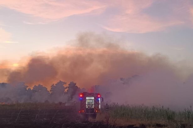 dupa 3 zile de lupta cu flacarile pompierii au reusit sa stinga incendiul de la chilia peste 1 300 de hectare din care aproape o suta de padure mistuite 686c1725b0151