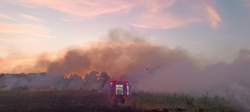 dupa 3 zile de lupta cu flacarile pompierii au reusit sa stinga incendiul de la chilia peste 1 300 de hectare din care aproape o suta de padure mistuite 686c1725b0151