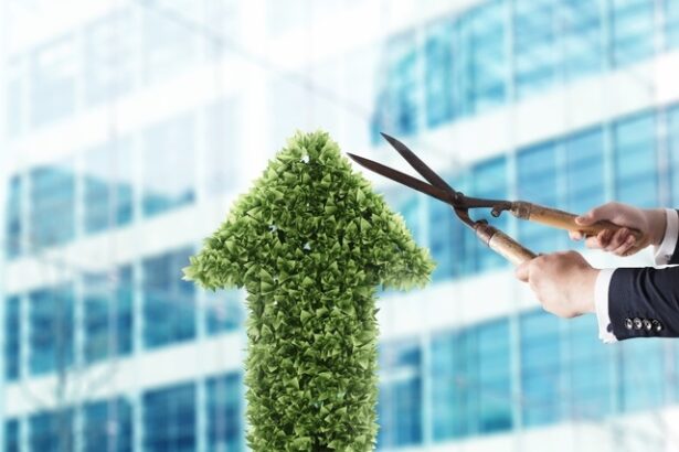 electrica intra in linie dreapta cu obligatiunile care ii vor finanta proiectele in regenerabile noile bonduri verzi ar urma sa aiba un rating bbb din partea fitch ce spune agentia de evaluare fina 6866a358dd560