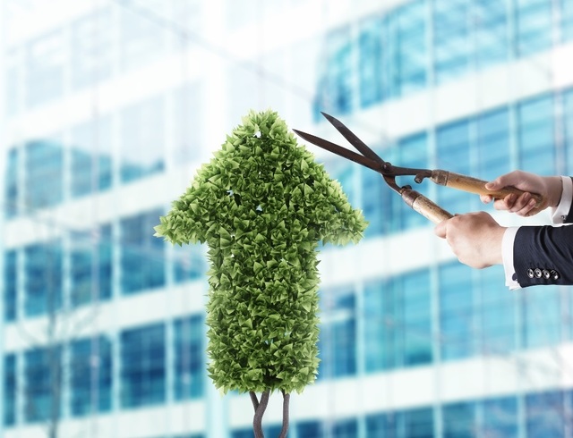 electrica intra in linie dreapta cu obligatiunile care ii vor finanta proiectele in regenerabile noile bonduri verzi ar urma sa aiba un rating bbb din partea fitch ce spune agentia de evaluare fina 6866a358dd560