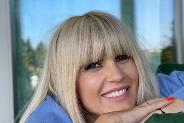 elena udrea poate iesi din inchisoare judecatoria ploiesti a admis cererea de eliberare conditionata 6863dd6ec893a