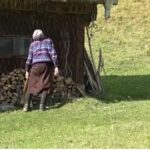 exclusiv tentativa de omor la ostrov agresorul care a speriat comunitatea propus spre arestare 6870fa7a11b9c