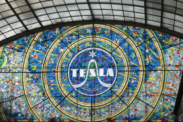 exclusiv tesla braila gigafactory stagneaza varianta exitului pe masa tesla surse 68703cd1da40a