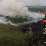 foc la iesire din mangalia spre albesti pompierii intervin cu mai multe masini de stingere 686f8277f08fe