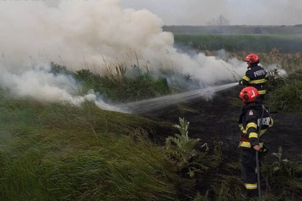 foc la iesire din mangalia spre albesti pompierii intervin cu mai multe masini de stingere 686f8277f08fe