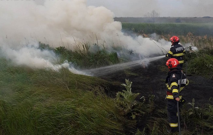 foc la iesire din mangalia spre albesti pompierii intervin cu mai multe masini de stingere 686f8277f08fe