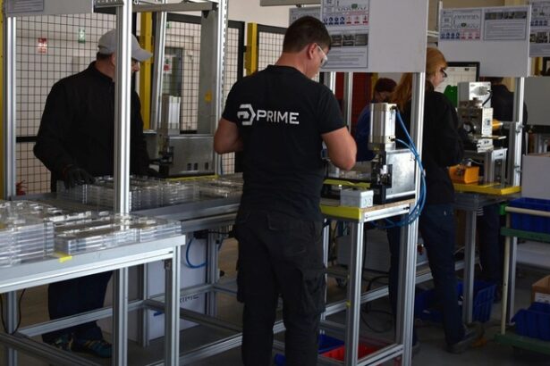 fond german investeste in compania romaneasca prime batteries recent s a aliat cu giganti mondiali pentru o platforma de noua generatie de sisteme de stocare a energiei in baterii 688899997388d