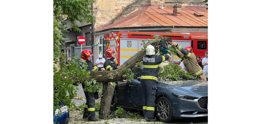foto dezastru in capitala o femeie a murit in timpul furtunii din bucuresti si ilfov 687922fb181d2