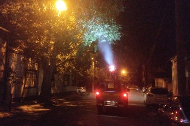foto dezinsectie in constanta primaria intervine cu o substanta aprobata de ministerul sanatatii 6867ab19cb330