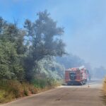 foto foc la iesire din mangalia spre albesti pompierii intervin cu mai multe masini de stingere 686f85f8d898f