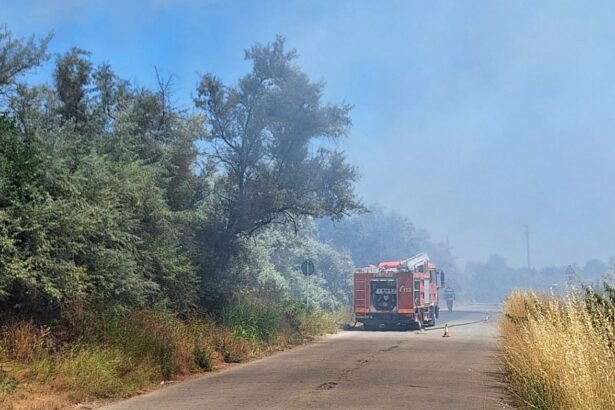 foto foc la iesire din mangalia spre albesti pompierii intervin cu mai multe masini de stingere 686f85f8d898f