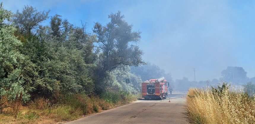 foto foc la iesire din mangalia spre albesti pompierii intervin cu mai multe masini de stingere 686f85f8d898f