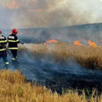 foto incendiile au facut prapad in arges sute de pomi fructiferi 4 autovehicule si mai multe anexe gospodaresti au ars 6886f91670be5
