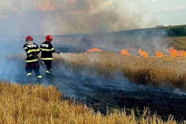 foto incendiile au facut prapad in arges sute de pomi fructiferi 4 autovehicule si mai multe anexe gospodaresti au ars 6886f91670be5