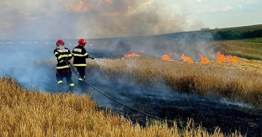 foto incendiile au facut prapad in arges sute de pomi fructiferi 4 autovehicule si mai multe anexe gospodaresti au ars 6886f91670be5