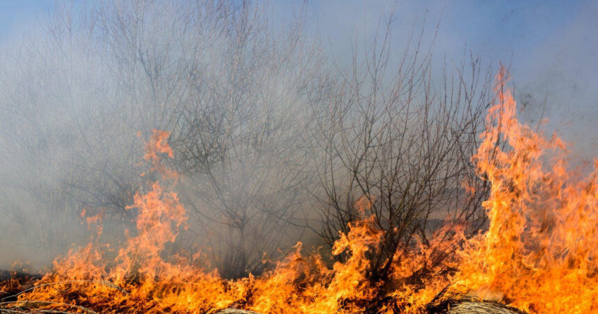 foto incendiu puternic langa ploiesti focul s a extins pe 30 de hectare si risca sa ajunga in apropierea unui cartier cu blocuri 68863edd9c6f7