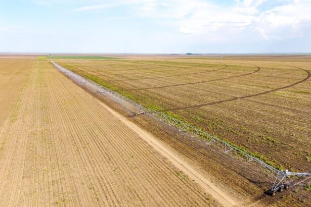 foto jd agro cocora a investit peste 2 milioane euro intr un sistem modern de irigatii 686504c1ec9fd