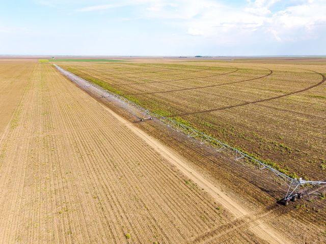 foto jd agro cocora a investit peste 2 milioane euro intr un sistem modern de irigatii 686504c1ec9fd