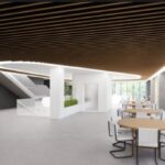 foto primele imagini cel mai bogat secui semneaza o noua investitie originala in romania dupa un aeroport vine cu un patinoar de lux intr o comuna 688aafd5049b8