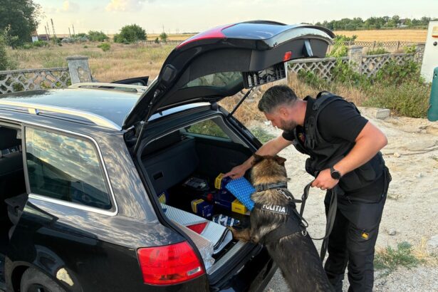 foto razie de amploare a polititistilor pe raza municipiului medgidia 687ccd9d12471