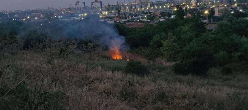 A luat foc vegetația uscată de pe Valea Portului din Constanța: Pompierii intervin la fața locului 1 foto video a luat foc vegetatia uscata de pe valea portului din constanta pompierii intervin la fata locului 68754e1cd31fc