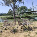 foto video descoperire incredibila in lacul siutghiol iata ce a scos din apa un tanar pasionat de magnet fishing 686e57ae15b99