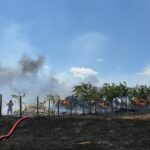 foto video incendiu puternic la o stana de oi din municipiul tulcea pompierii intervin cu mai multe autospeciale 68650f167fe02