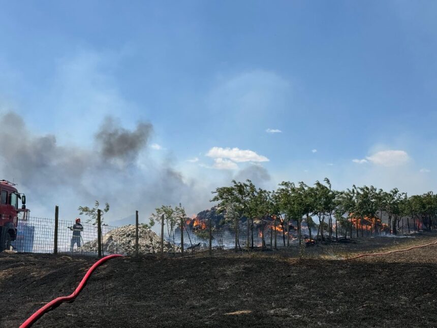 Incendiu puternic la o stână de oi din municipiul Tulcea, cu intervenția mai multor autospeciale ale pompierilor. 1 foto video incendiu puternic la o stana de oi din municipiul tulcea pompierii intervin cu mai multe autospeciale 68650f167fe02
