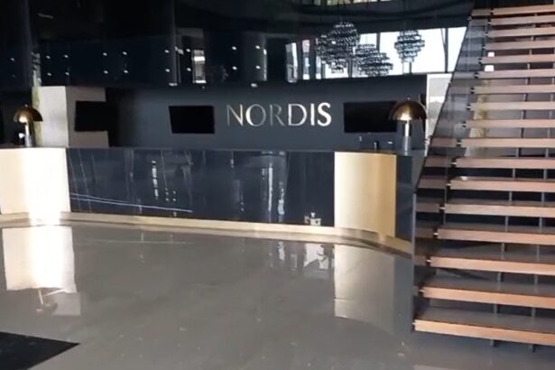 foto video la ce concluzii au ajuns comisarii lui piedone dupa ce au verificat nordis mamaia 68778eac3be51