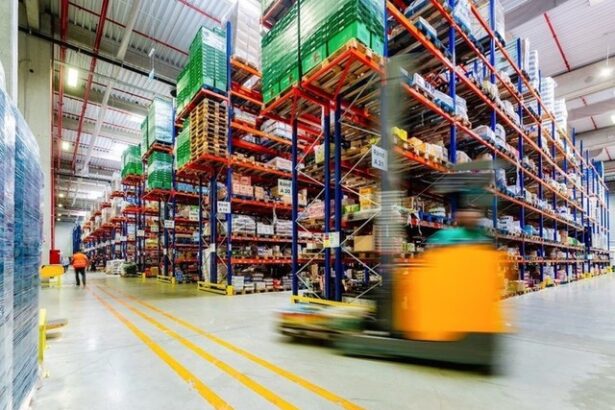 foto wdp detinut de una dintre cele mai bogate familii din belgia pregateste in romania un nou mare centru de distributie confirmare 68873a1795e64