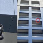 Imagini terifiante la Constanța! O pasăre spânzurată și lăsată atârnată pe bloc. 2 galerie foto imagini terifiante la constanta au spanzurat o pasare si au lasat o atarnata pe bloc 6887363ed6e6d