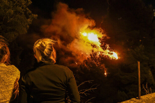 galerie foto incendiul de la periferia orasului marsilia a fost izolat insa pot aparea noi focare avertizeaza prefectul 686ebc008bea7