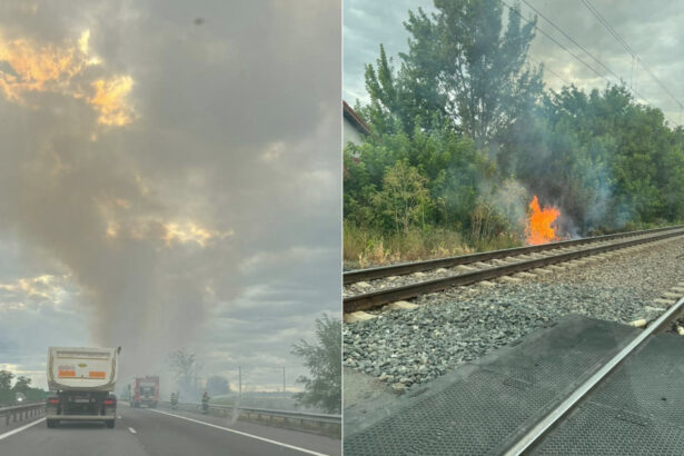galerie foto trafic deviat de pe autostrada a2 din cauza incendiilor de vegetatie circulatia spre bucuresti oprita intre sarulesti si lehliu 686fe6d6725ab