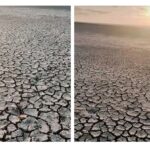 Imagini dramatice din județul Constanța: Lacul Nuntași a secat din nou, pământ crăpat și fără apă. 2 imagini dramatice din judetul constanta lacul nuntasi a secat din nou pamant crapat si nicio urma de apa 687350622d98e