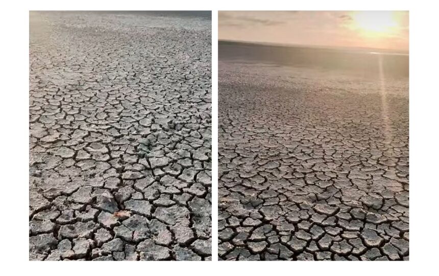 imagini dramatice din judetul constanta lacul nuntasi a secat din nou pamant crapat si nicio urma de apa 687350622d98e