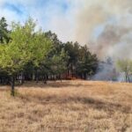inca nu a fost stins incendiul de padure si vegetatie uscata din zona localitatii greci judetul tulcea 687608596ded6
