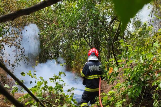 incendiile ameninta biodiversitatea din muntii macinului vegetatie specifica arbori si ierburi mistuite de flacari 687663dabd768