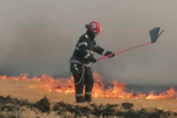incendiu de padure in comuna greci autoritatile fac apel la populatie pentru sprijin urgent 6875196093331